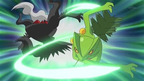 sceptile vs darkrai.